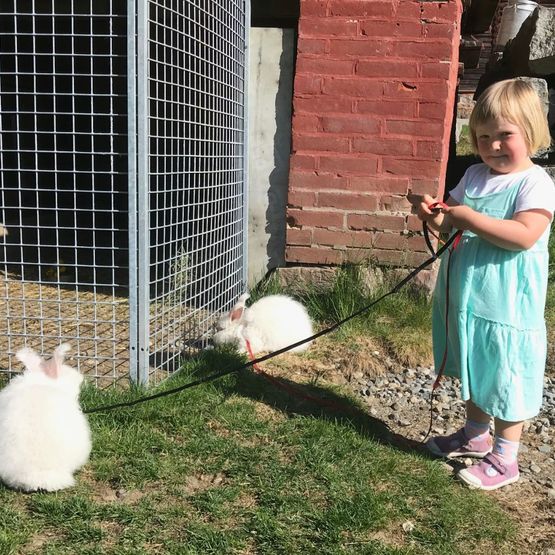Liten unge med to kaniner