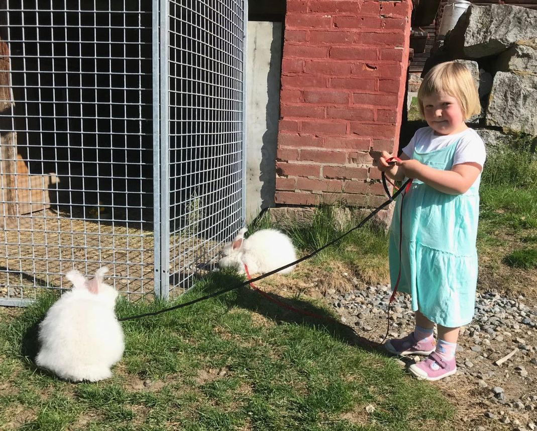 Liten unge med to kaniner