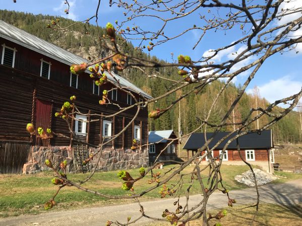 Gårdstunet
